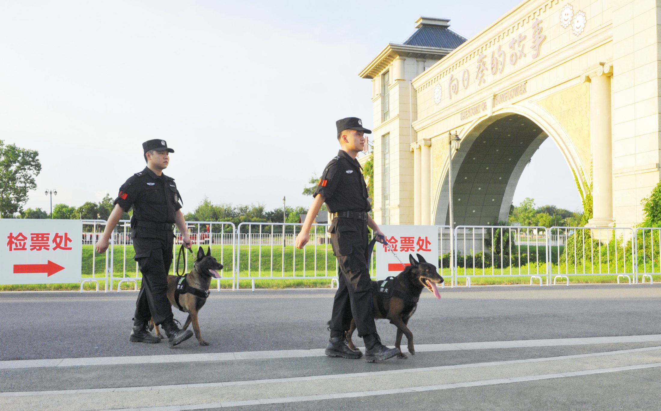 微信图片_20250824222511_副本_副本_副本