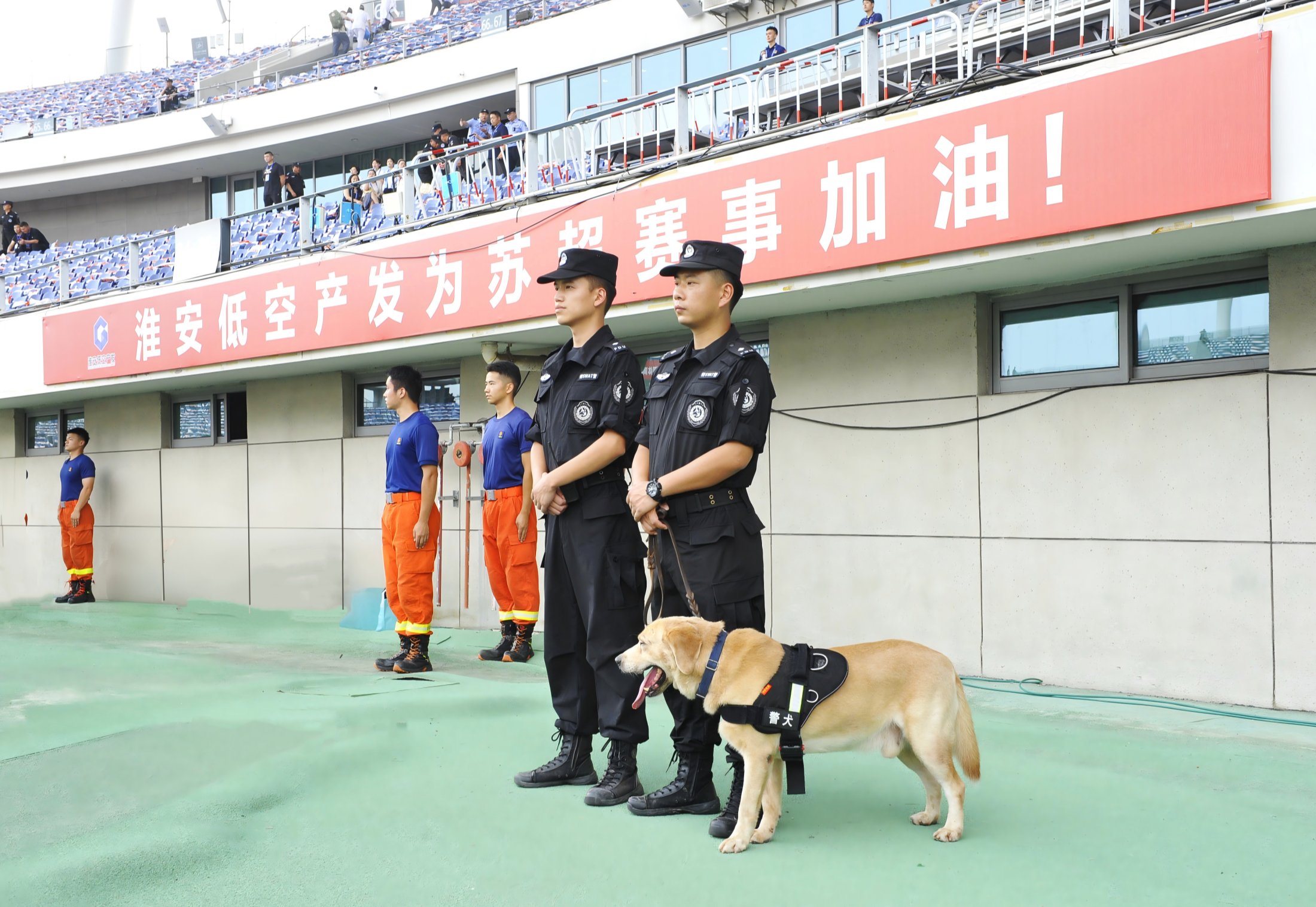 _DSC8834(1)_副本_副本